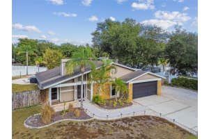 4603 GOLDBUD LANE, TAMPA, FL 33624 - MLS#MFRTB8447334