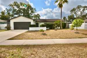 14540 DIPLOMAT DRIVE, TAMPA, FL 33613 - MLS#MFRTB8447366