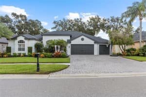 16715 EAGLE OAK DRIVE, ODESSA, FL 33556 - MLS#MFRTB8447367