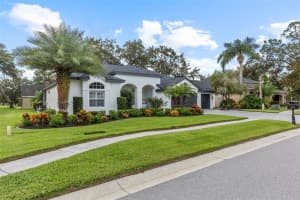 16715 EAGLE OAK DRIVE, ODESSA, FL 33556 - MLS#MFRTB8447367
