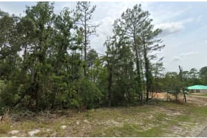 6820 153RD PLACE ROAD, OCALA, FL 34473 - MLS#MFRTB8447377