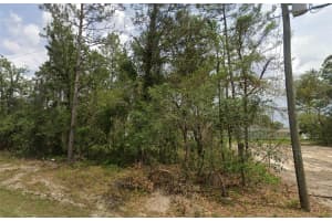 6820 153RD PLACE ROAD, OCALA, FL 34473 - MLS#MFRTB8447377