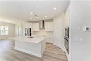 10148 SURREY ROSE DRIVE, SAN ANTONIO, FL 33576 - MLS#MFRTB8447378