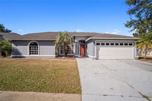 2229 FOGGY RIDGE PARKWAY, LAND O LAKES, FL 34639 - MLS#MFRTB8447439