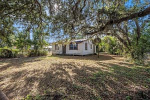 11720 WILLIAMS ROAD, THONOTOSASSA, FL 33592 - MLS#MFRTB8447468