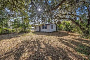 11720 WILLIAMS ROAD, THONOTOSASSA, FL 33592 - MLS#MFRTB8447468