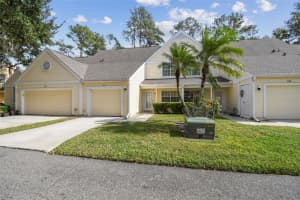 3616 PINE KNOT DRIVE, VALRICO, FL 33596 - MLS#MFRTB8447498