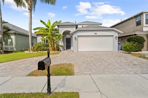 10447 PEPPERGRASS COURT, TRINITY, FL 34655 - MLS#MFRTB8447548