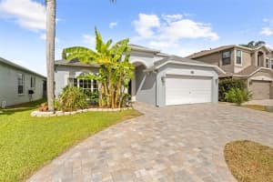 10447 PEPPERGRASS COURT, TRINITY, FL 34655 - MLS#MFRTB8447548