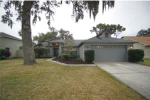 3605 TREELINE DRIVE, VALRICO, FL 33596 - MLS#MFRTB8447550