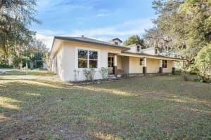 17325 PALAMINO LAKE DRIVE, DADE CITY, FL 33523 - MLS#MFRTB8447569