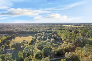 17325 PALAMINO LAKE DRIVE, DADE CITY, FL 33523 - MLS#MFRTB8447569