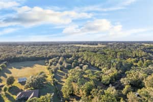 17325 PALAMINO LAKE DRIVE, DADE CITY, FL 33523 - MLS#MFRTB8447569