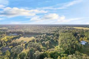 17325 PALAMINO LAKE DRIVE, DADE CITY, FL 33523 - MLS#MFRTB8447569