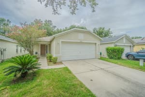 18164 CANAL POINTE STREET, TAMPA, FL 33647 - MLS#MFRTB8447580