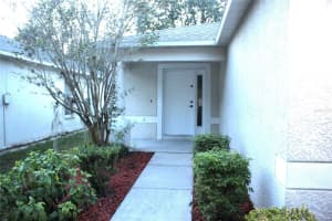 18164 CANAL POINTE STREET, TAMPA, FL 33647 - MLS#MFRTB8447580