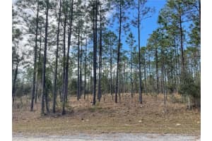 133 133 AVENUE SE AVENUE, DUNNELLON, FL 34431 - MLS#MFRTB8447618