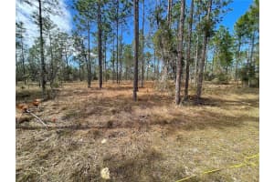 133 133 AVENUE SE AVENUE, DUNNELLON, FL 34431 - MLS#MFRTB8447618
