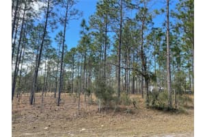 133 133 AVENUE SE AVENUE, DUNNELLON, FL 34431 - MLS#MFRTB8447618