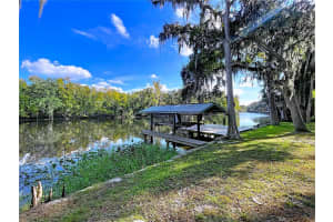 1601 RIVERHILLS DRIVE, TEMPLE TERRACE, FL 33617 - MLS#MFRTB8447635