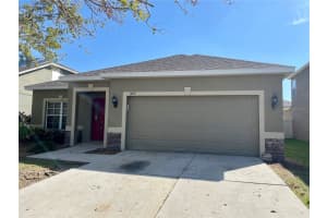 10131 CELTIC ASH DRIVE, RUSKIN, FL 33573 - MLS#MFRTB8447656