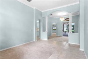 16515 NIKKI LANE, ODESSA, FL 33556 - MLS#MFRTB8447661