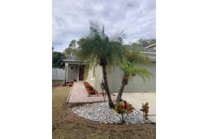 8521 QUARTER HORSE DRIVE, RIVERVIEW, FL 33578 - MLS#MFRTB8447693