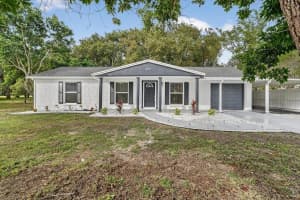 201 MARE AVENUE, HOWEY IN THE HILLS, FL 34737 - MLS#MFRTB8447722