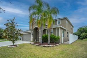 10924 RAINBOW PYRITE DRIVE, WIMAUMA, FL 33598 - MLS#MFRTB8447734