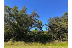 22059 BANCROFT AVENUE, PORT CHARLOTTE, FL 33954 - MLS#MFRTB8447750