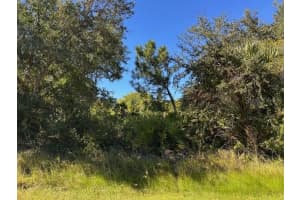 22059 BANCROFT AVENUE, PORT CHARLOTTE, FL 33954 - MLS#MFRTB8447750