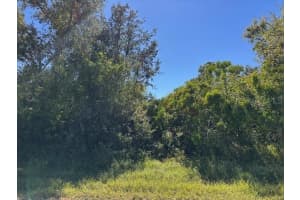 22059 BANCROFT AVENUE, PORT CHARLOTTE, FL 33954 - MLS#MFRTB8447750