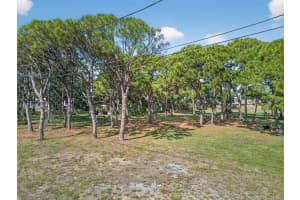 2001 62ND AVENUE, ST PETERSBURG, FL 33712 - MLS#MFRTB8447764