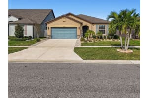 11722 CLARE HILL AVENUE, RIVERVIEW, FL 33579 - MLS#MFRTB8447766