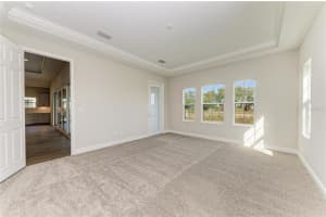 14924 RIDER PASS DRIVE, LITHIA, FL 33547 - MLS#MFRTB8447847