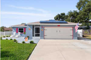 1016 VINEYARD COURT, DUNEDIN, FL 34698 - MLS#MFRTB8447852