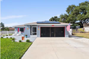 1016 VINEYARD COURT, DUNEDIN, FL 34698 - MLS#MFRTB8447852