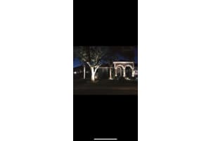 1509 WILDFOWL PLACE, LUTZ, FL 33549 - MLS#MFRTB8447881