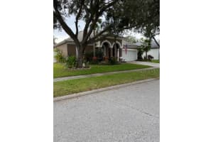1509 WILDFOWL PLACE, LUTZ, FL 33549 - MLS#MFRTB8447881