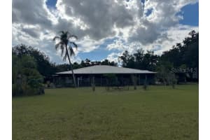 10102 LOETSCHER LANE, LITHIA, FL 33547 - MLS#MFRTB8447885