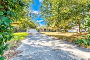 12508 PALOMINO COURT, TAMPA, FL 33626 - MLS#MFRTB8447941