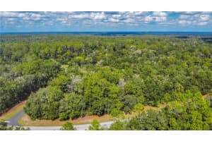 10227 ATHENIA DRIVE, CITRUS SPRINGS, FL 34434 Sold 12/18/25