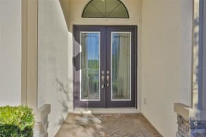 11653 TALLFIELD LANE, ODESSA, FL 33556 - MLS#MFRTB8447978