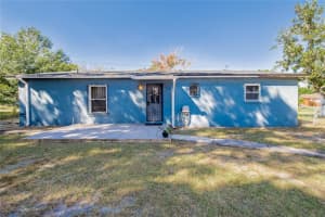 806 PAPAYA DRIVE, TAMPA, FL 33619 - MLS#MFRTB8447997