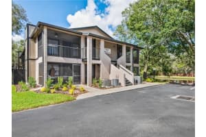 4006 Angel Oak Ct #202, TAMPA