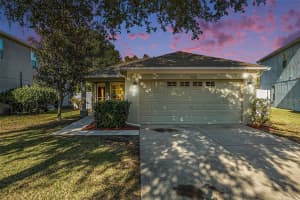 9928 TORRISDALE LOOP, LAND O LAKES, FL 34638 - MLS#MFRTB8448024