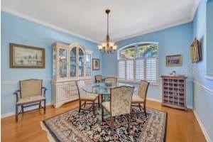 507 SURREY LANE, LUTZ, FL 33549 - MLS#MFRTB8448027