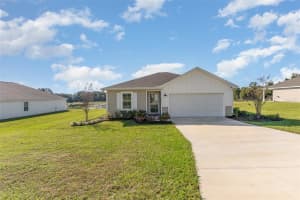 420 JEWEL LAKE DRIVE, LAKE CITY, FL 32024 - MLS#MFRTB8448038