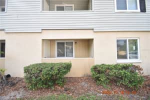 228 THORN TREE PLACE, BRANDON, FL 33510 - MLS#MFRTB8448040