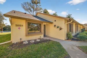 2529 OAKLEAF LANE, CLEARWATER, FL 33763 - MLS#MFRTB8448070